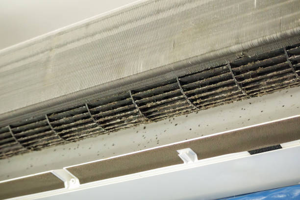 Best Affordable HVAC Duct Cleaning  in Poplar Plains, CT